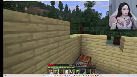 Premium: MISA_02 HD (41 min) - May 15, 2026 13:47