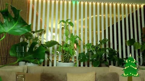Premium: MiaLiaHot HD (98 min) - January 8, 2026 09:11