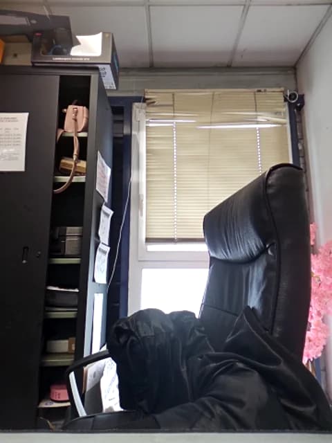 Premium: Sarajaymicorazon088 HD (120 min) - April 15, 2026 14:12