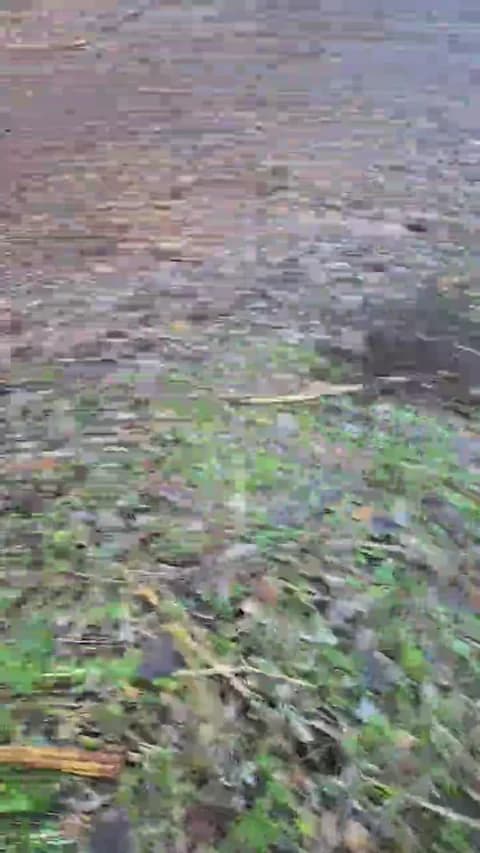 Premium: likescock5 HD (64 min) - January 16, 2026 16:36