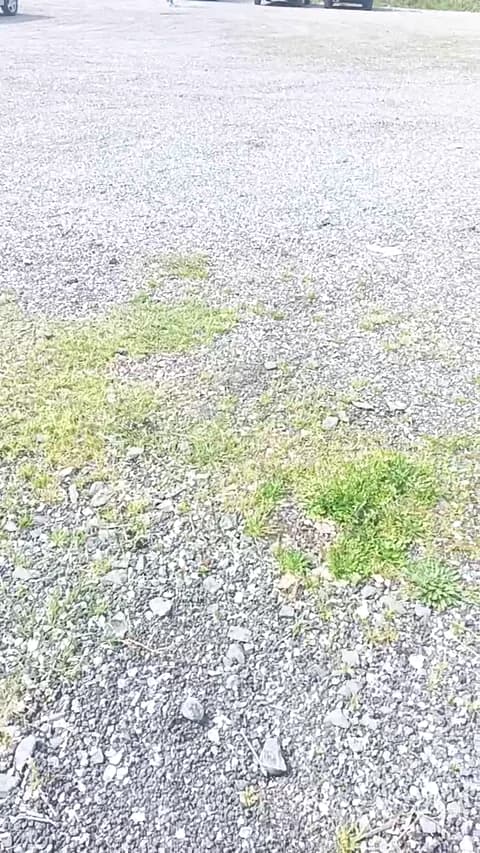 Premium: livenews1 HD (48 min) - March 15, 2026 11:39