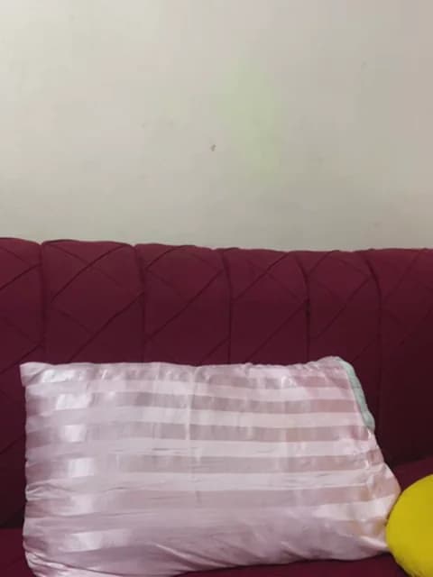 Premium: mari_layali HD (38 min) - April 2, 2026 02:20