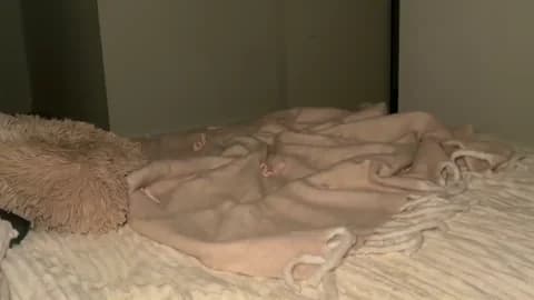 Premium: taliavaine HD (100 min) - January 19, 2026 20:56